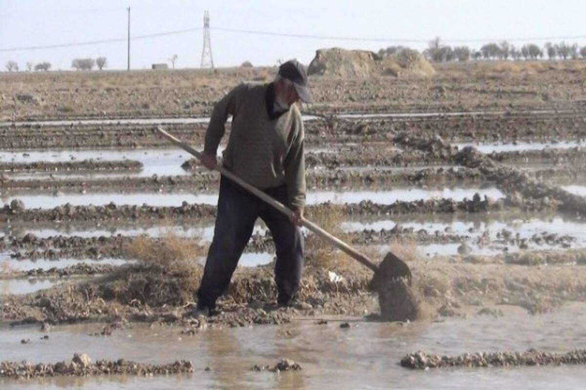 کشاورزان شرق اصفهان