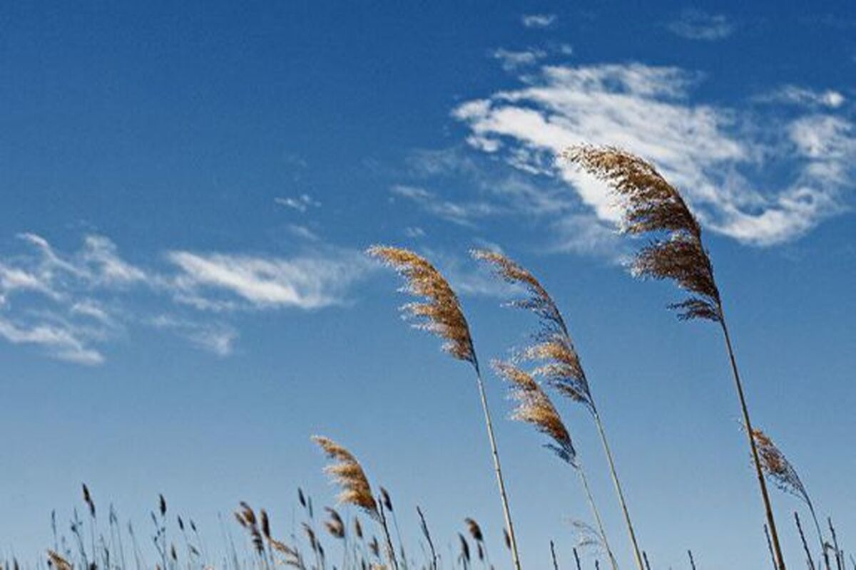 وزش باد در خراسان رضوی