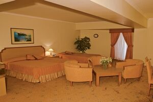 رونق بخشی هتل های بندرعباس با تعطیلی مهمانسراهای دولتی/تخفیف 40 درصدی به دستگاهای دولتی 