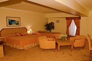 رونق بخشی هتل های بندرعباس با تعطیلی مهمانسراهای دولتی/تخفیف 40 درصدی به دستگاهای دولتی 