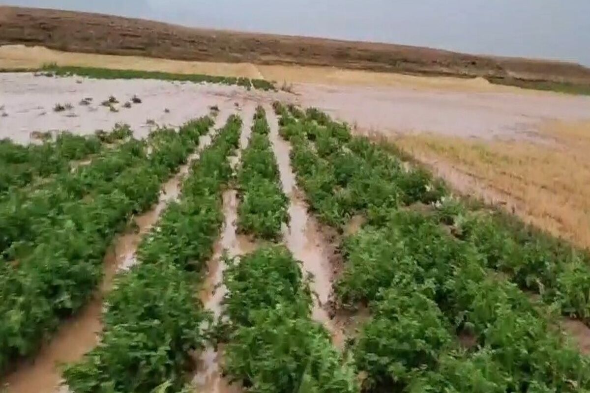 خسارت سیل