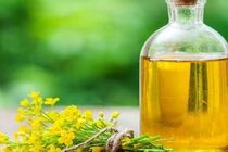 کشت کلزا باعث خوکفایی در تولید روغن کشور و جلوگیری از خروج ارز می شود