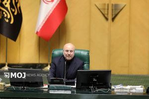 رئیس مجلس فرارسیدن روز ارتش را تبریک گفت