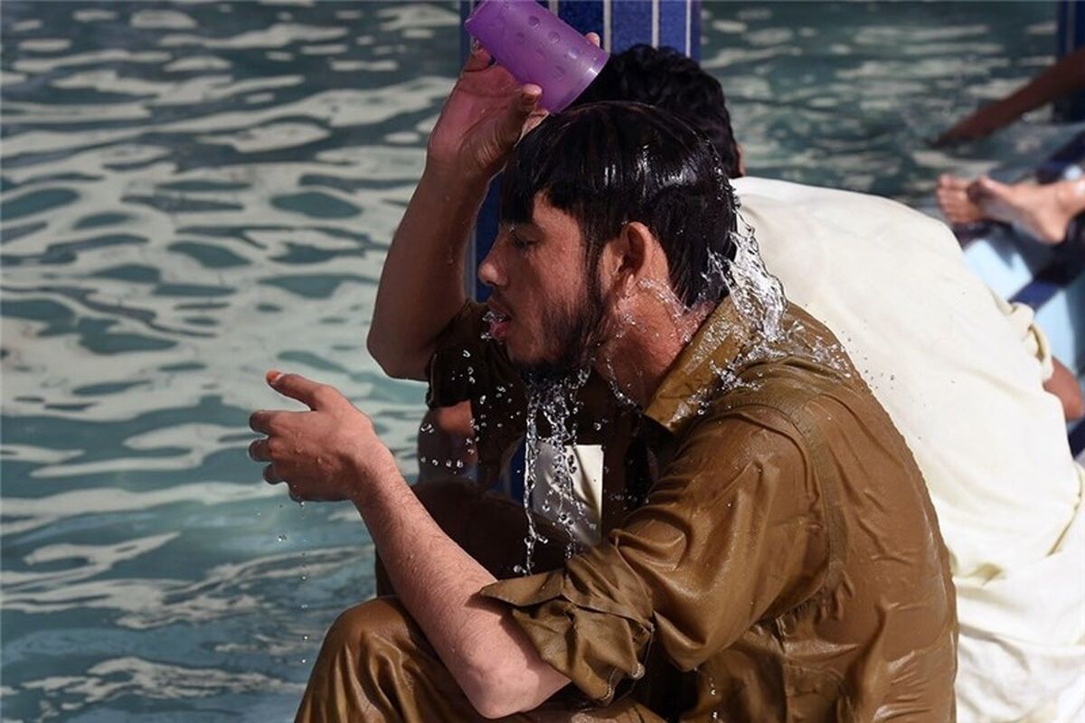 شرجی