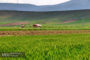 طبیعت بهاری کرمانشاه