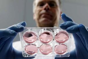 شرکت های نانویی در زمینه تجاری سازی توانمند می شوند