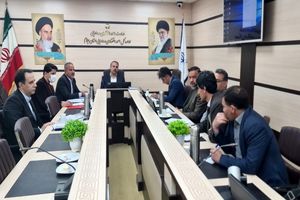 پتروشیمی هلیلان نیازمند توجه و حمایت دولت است