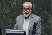 نوروزی من را به متناقض گویی متهم کرد/به عنوان یک اقتصاددان می‌دانم که خلق ثروت در کشور ارزش است