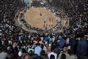 قهرمانان کشتی با چوخه اسفراین معرفی شدند