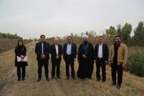 جنگل‌کاری اقتصادی رویکرد مهم سازمان منابع طبیعی و آبخیزداری است