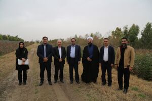 جنگل‌کاری اقتصادی رویکرد مهم سازمان منابع طبیعی و آبخیزداری است