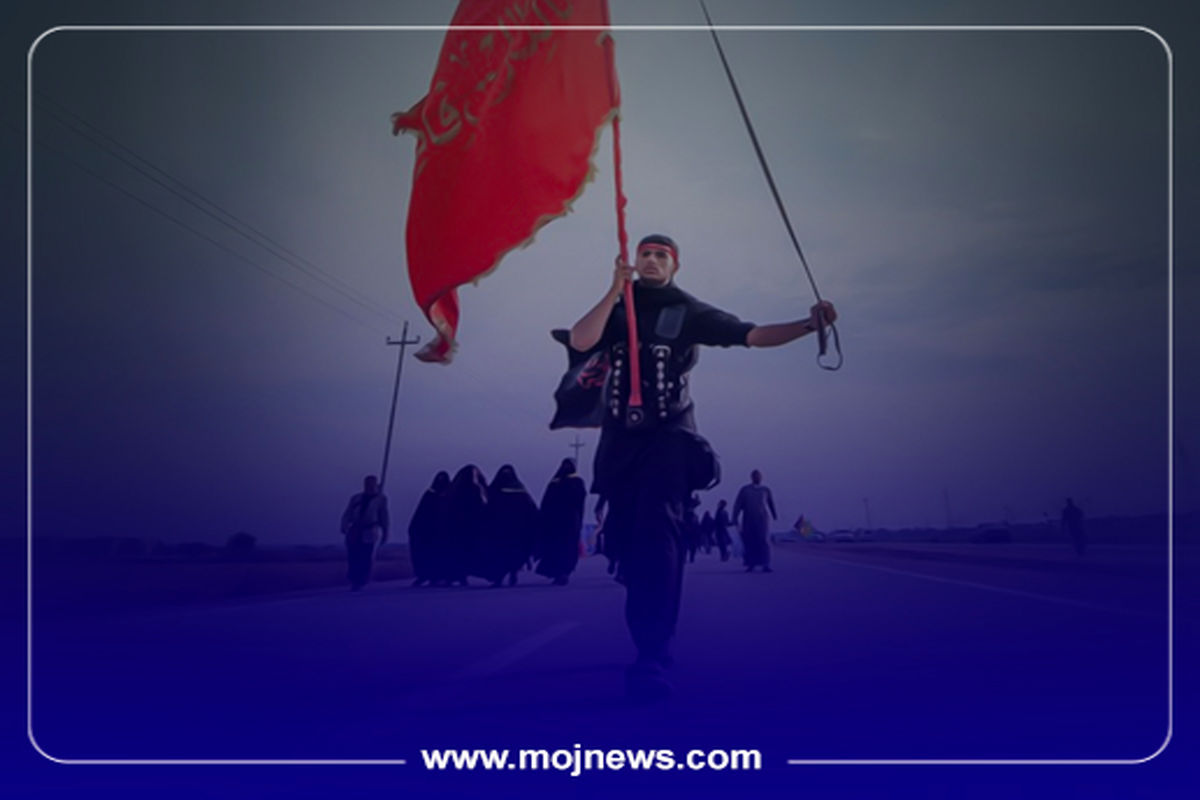 کاور کفش مناسب موج