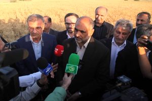 نخستین برداشت گندم کشور در هرمزگان