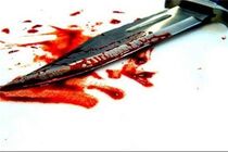 کشف صدها قبضه چاقو در مدارس انگلیس