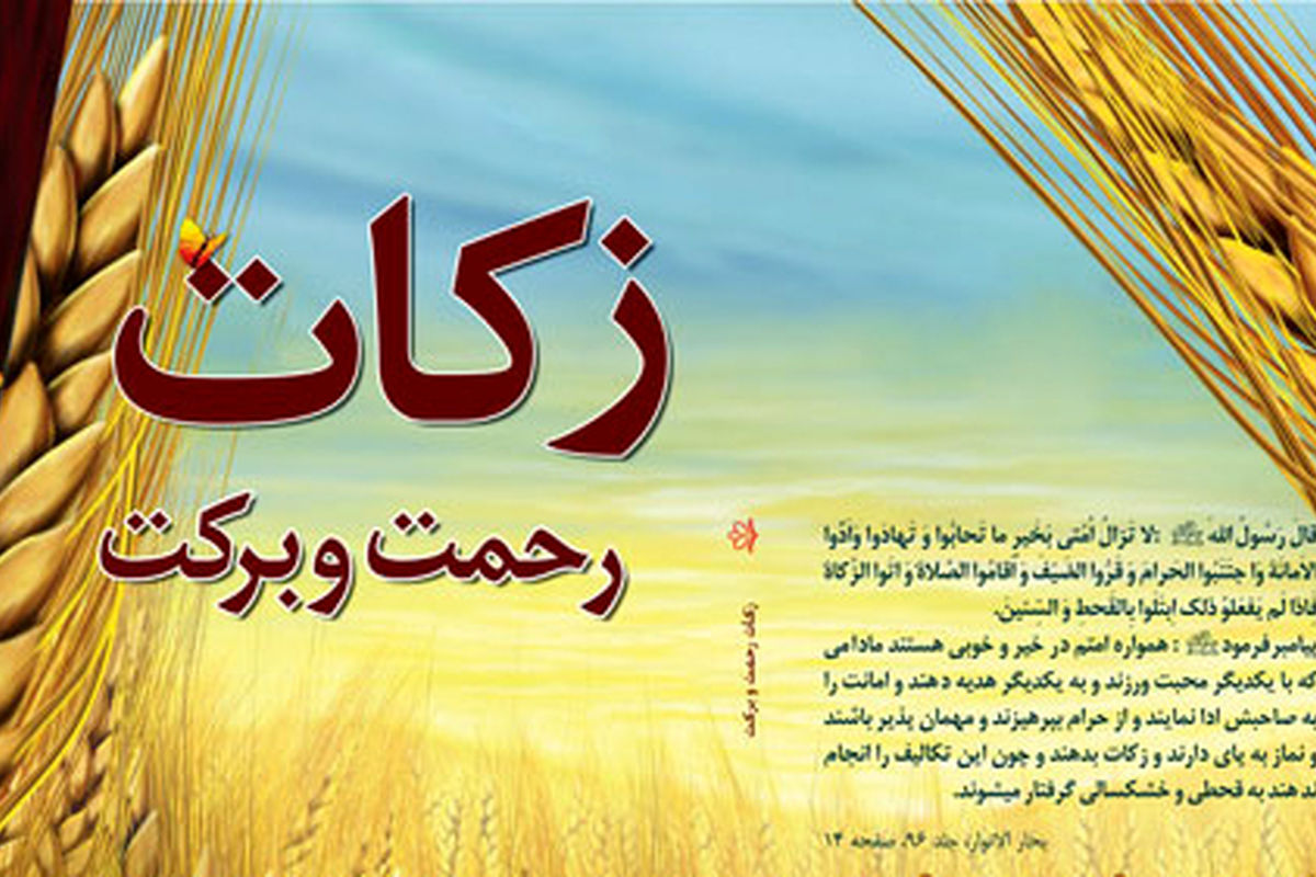MVTLDDqT2qWA