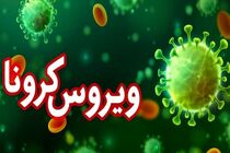 شناسایی 47 بیمار جدید مبتلا به ویروس کرونا در کاشان / تعداد کل بستری ها 266 بیمار