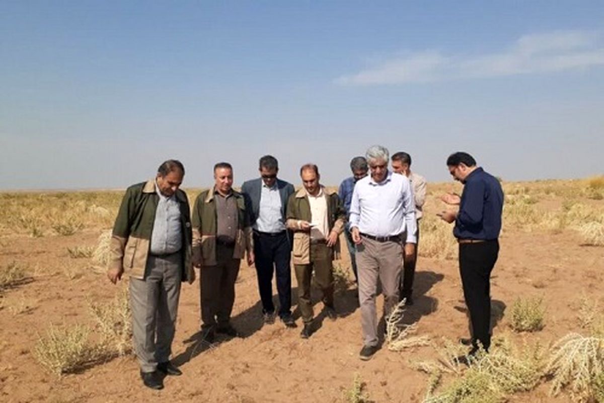 منابع-طبیعی-ایلام-17