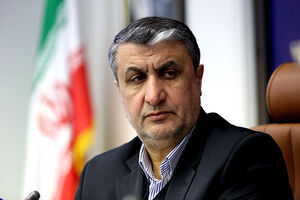 JCPOA talks aim at removing sanctions, accusations
