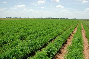 نمایندگان سیاست های توسعه پایدار را در حوزه کشاورزی تعیین کردند