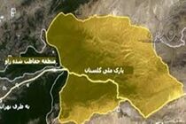 افزایش ۱۵ درصد آمار قوچ و میش، آهو و کل بزهای پارک ملی گلستان