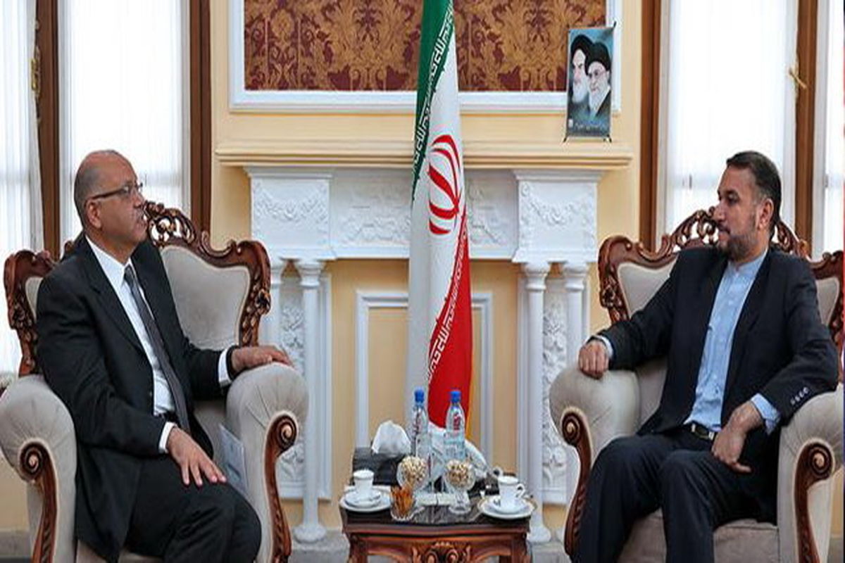 امیرعبداللهیان