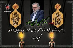 پیام تسلیت مدیرعامل ذوب‌آهن اصفهان در پی شهادت شهید محسن فخری ‌زاده