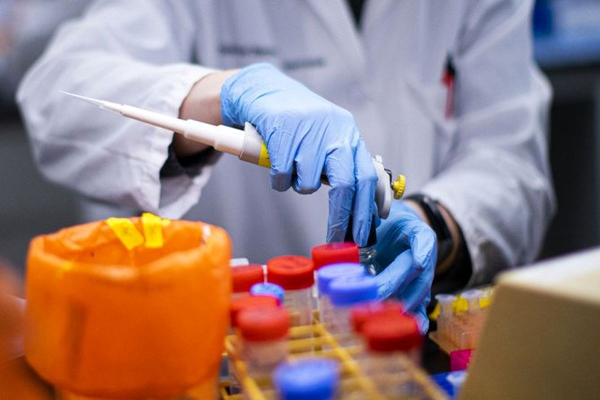 سازمان بهداشت جهانی و شیوع کرونا