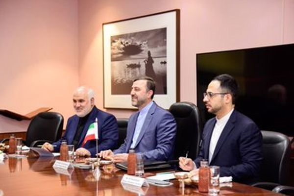 معاون وزیر خارجه به هند سفر کرده است