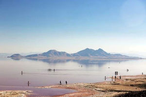 واحدهای الگویی کشاورزی پایدار در حوزه تالاب بختگان، ایجاد شد 