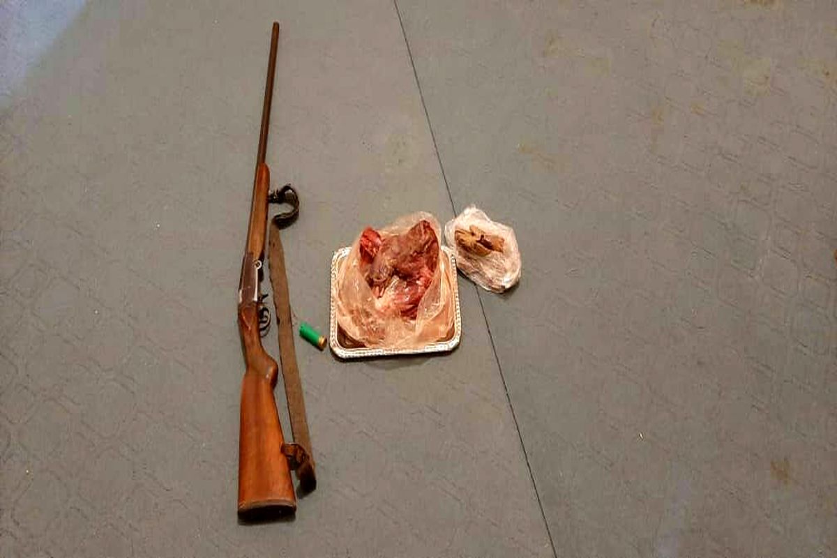 محیط زیست مازندران