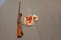 دستگیری متخلفان شکار و صید در مازندران