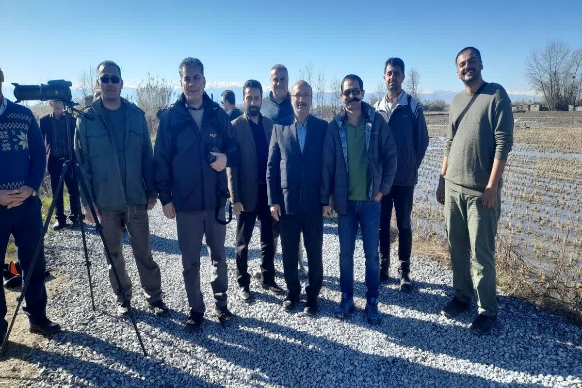 معاون سازمان محیط زیست کشور 