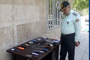 کشف 30 قبضه سلاح سرد از مخلان امنیت در تفرجگاه های شهرستان البرز