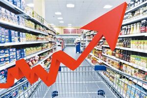 کالای تنظیم بازاری در حاشیه نمایشگاه مصلی عرضه می شود/30 درصد بازار حلال در اختیار مالزی