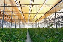 دومین گلخانه شیشه‌ای مدرن کشور با حضور رئیس‌جمهور در هیدج افتتاح شد