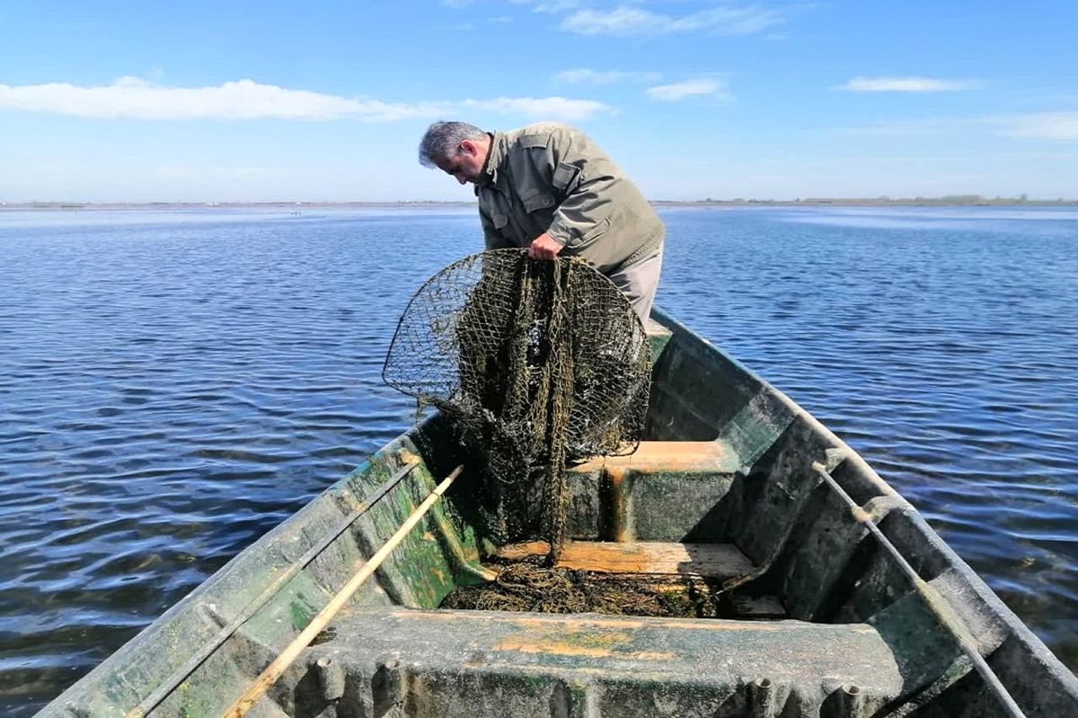 صیدغیرمجاز