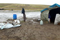 سیلاب به عشایر استان ایلام خسارت وارد کرد 