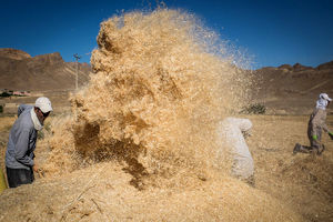 حرف های دولت با عمل تناقض دارد/ مجلس جایگاه مقتدری در تصمیم گیری ها ندارد