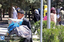 مدیرکل محیط زیست تهران در آستانه روز طبیعت توصیه‌هایی کرد