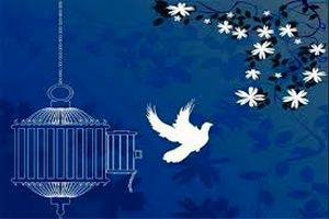  ۱۷۴۳ نفر محکوم جرایم مالی با کمک‌های خیرخواهانه آزاد شدند