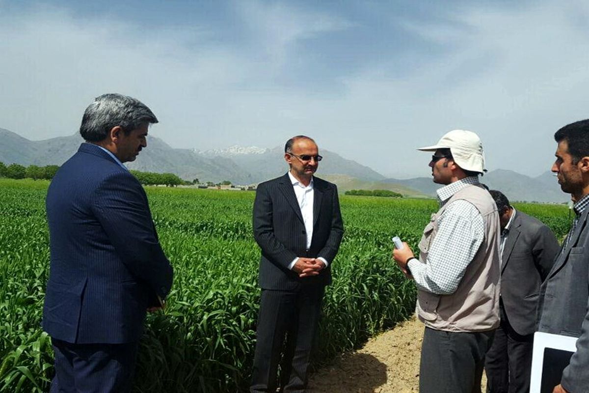 معاون استاندار کرمانشاه