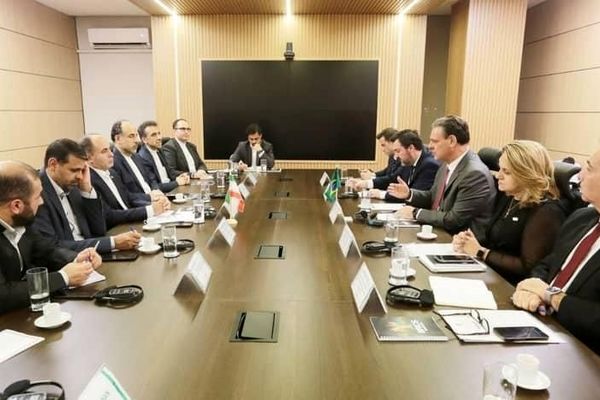 ساز و کار‌های مالی بریکس نقشی تعیین‌کننده در تضمین امنیت غذایی دارد