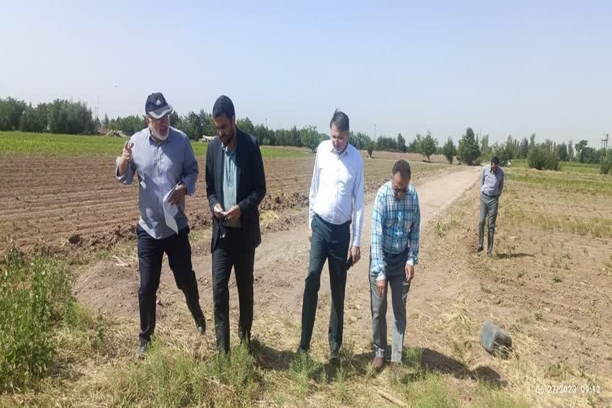 نهالستان سبحان قزوین