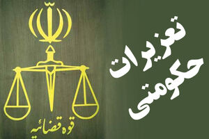 کدشناسه و رهگیری جایگزین شبنم می شود