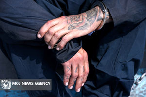 سارقان حرفه‌ای منازل در تنکابن دستگیر شدند