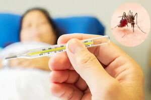 چند استان در حال حاضر درگیر تب «دنگی» و پشه «آئدس» هستند؟