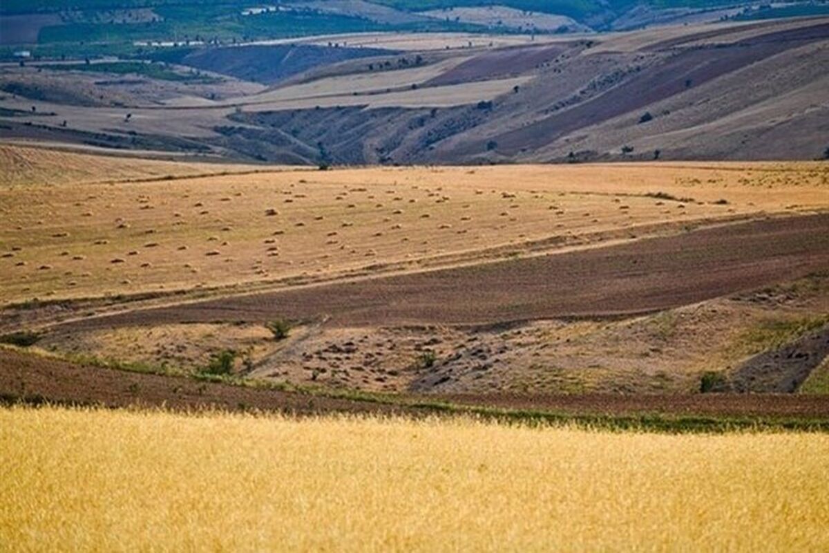 جهاد کشاورزی فارس 