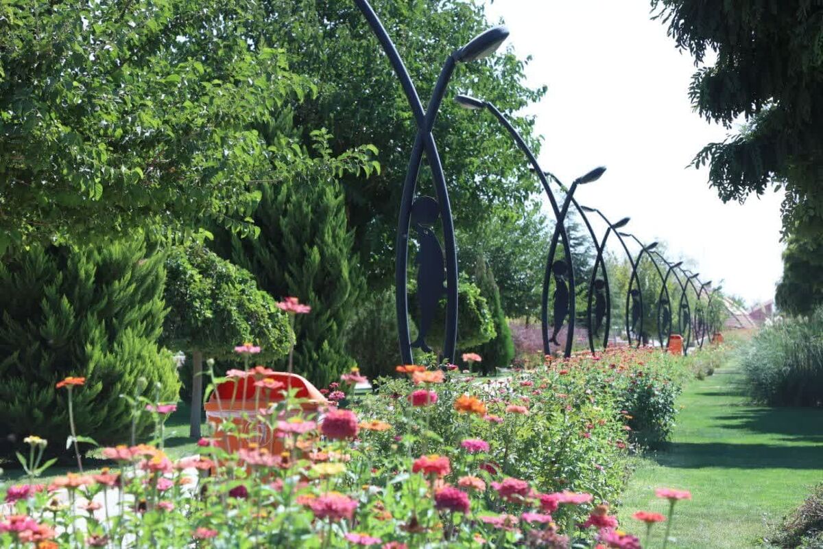 شهرداری محمدیه