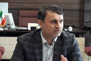 شوراها نمی توانند در عزل و نصب کارمندان شهرداری دخالتی داشته باشند 