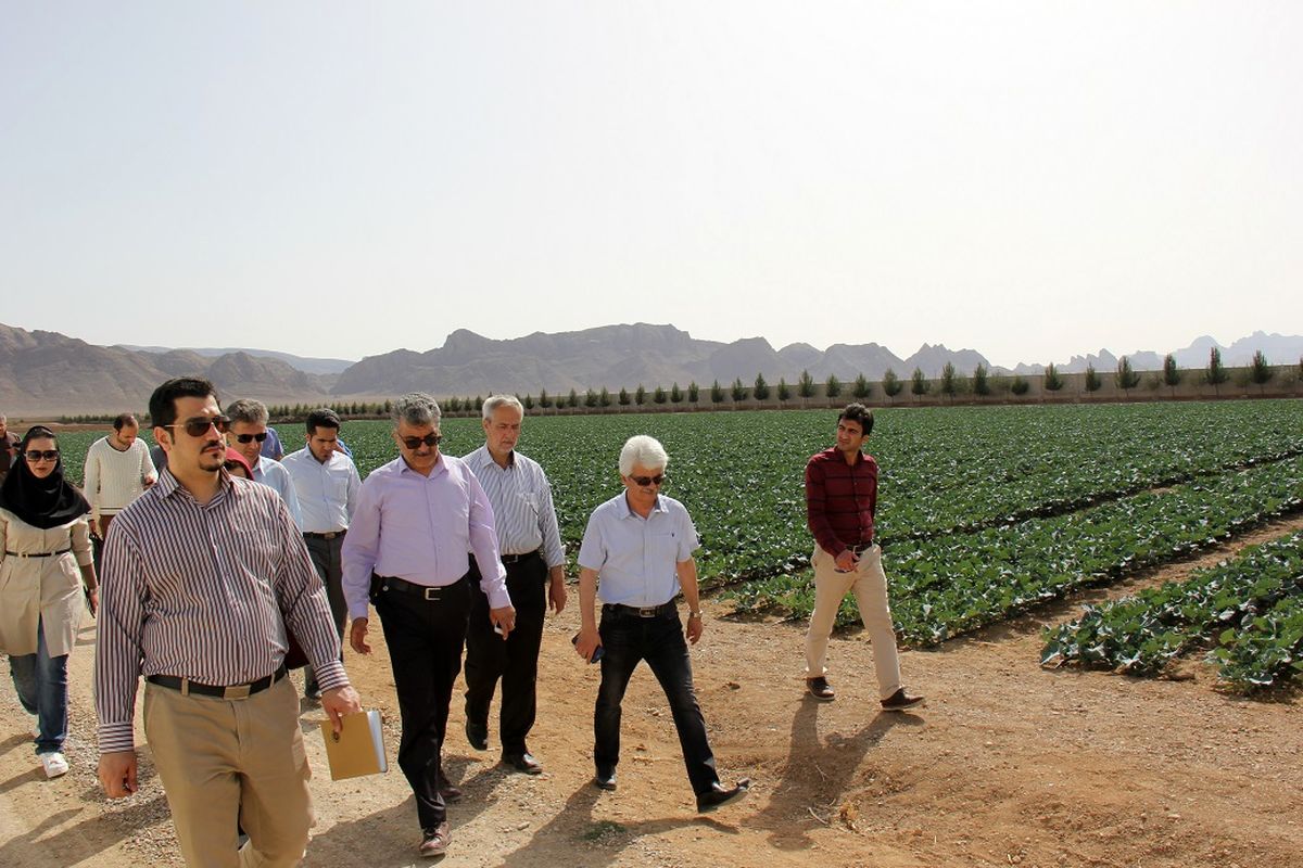 اصفهان- اتاق